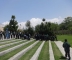 DSC03492_1