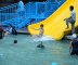 DSC04773