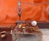 DSC02031.JPG