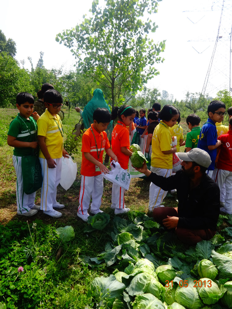 Visit to farmhouse – Harvesting the Gifts of Nature